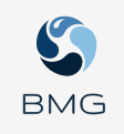 BMG CONSULTANTS